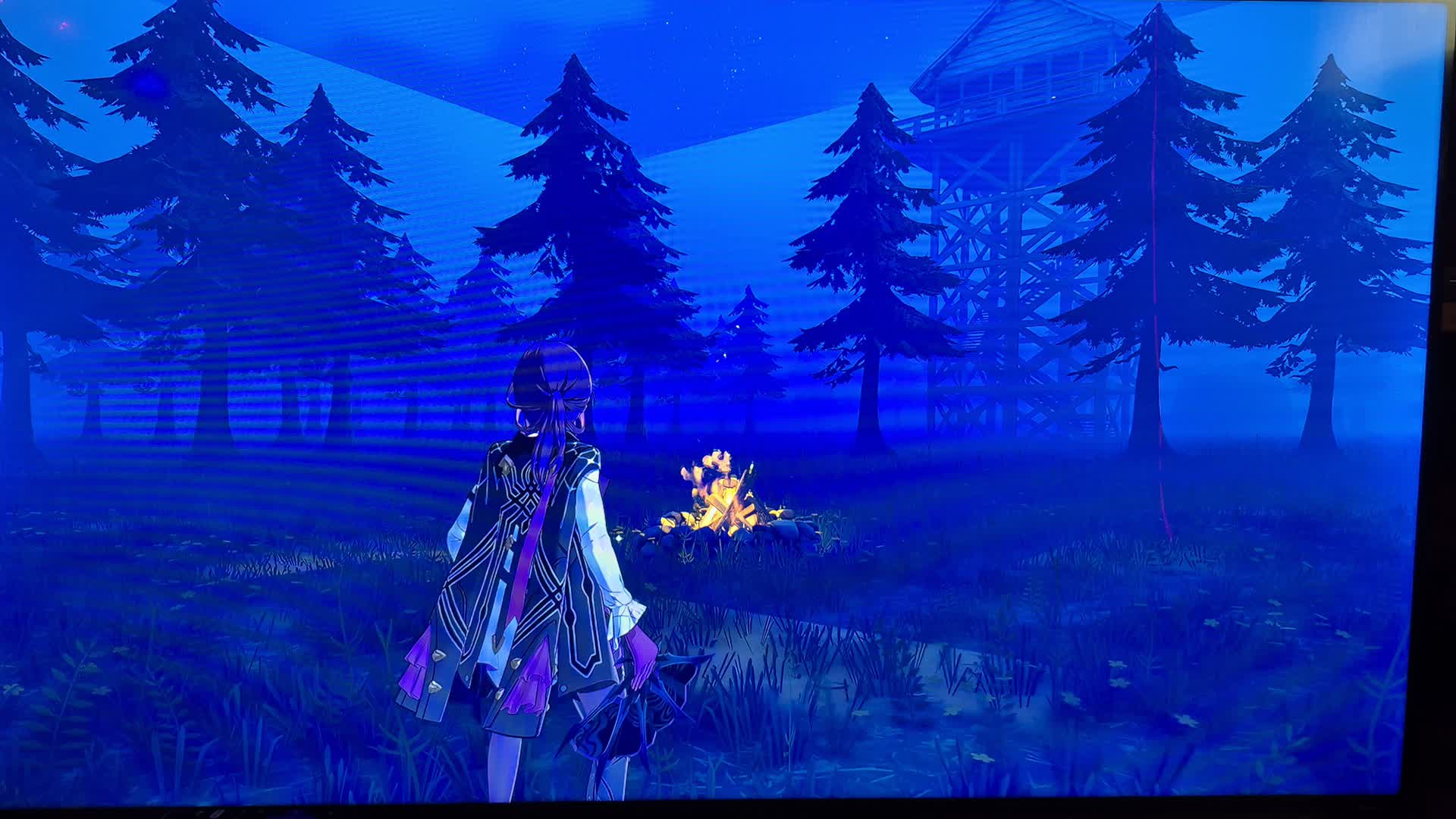 100 nights in the forest