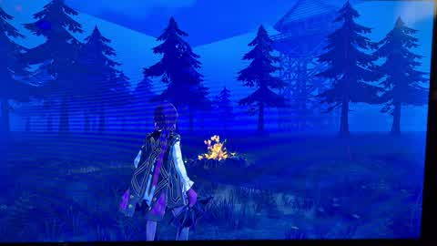 100 nights in the forest