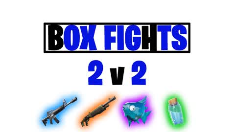 2v2 box fight