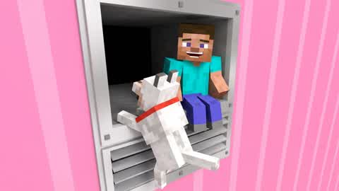 STEVE AND FRIEND VENT 33 LVL
