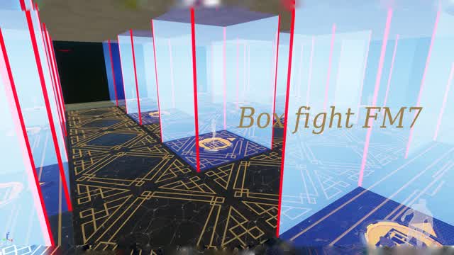 Box fight FM7