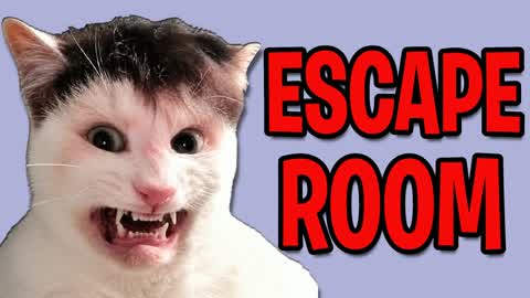 Clutterfunk Cat Escape Room 49