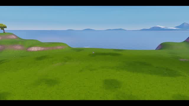 Capture 1 – Lootless Arena