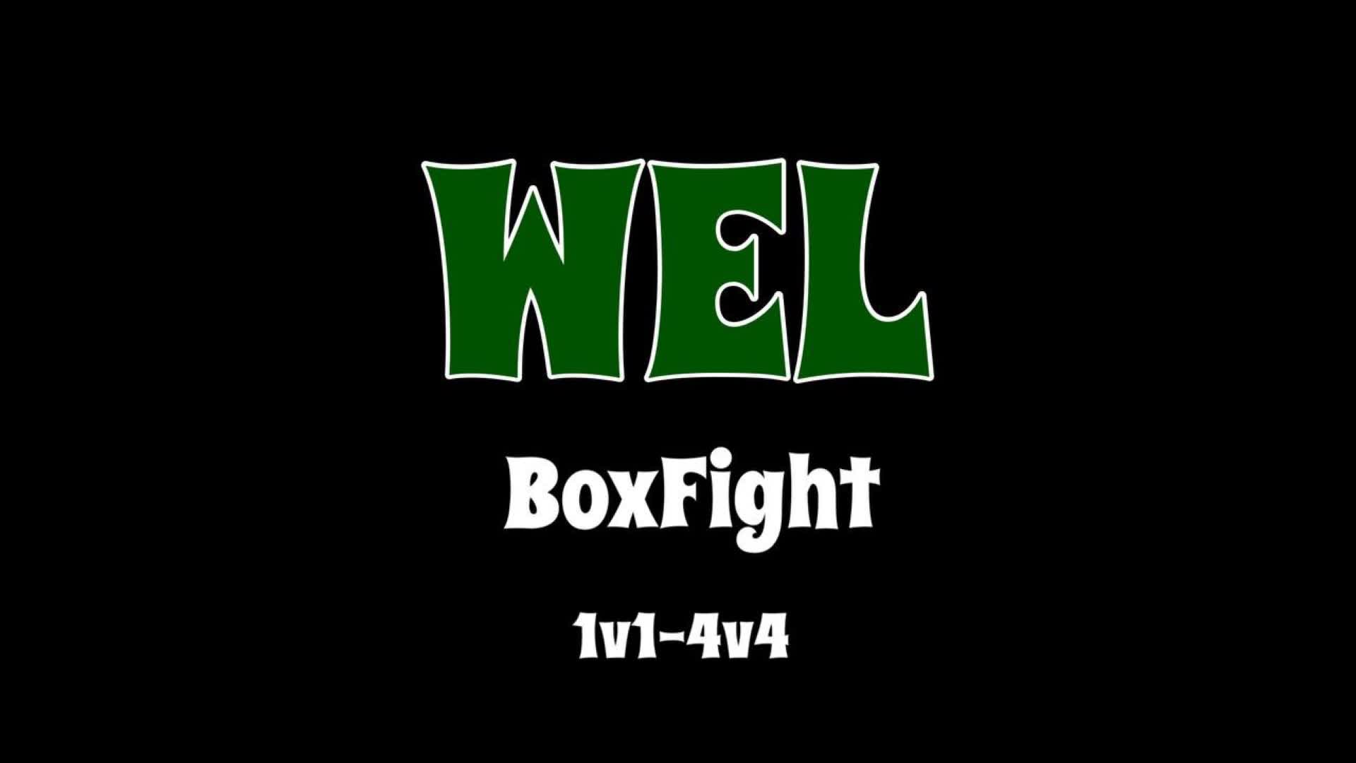 WEL BoxFight 1v1-4v4