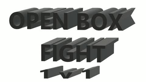 OPEN BOX FIGHT NO BUILD 1v1