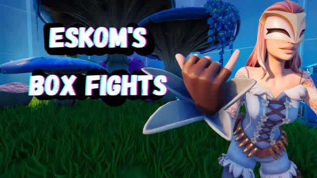 Eskom's Box Fights