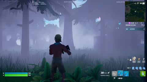 The Woods - Zone wars