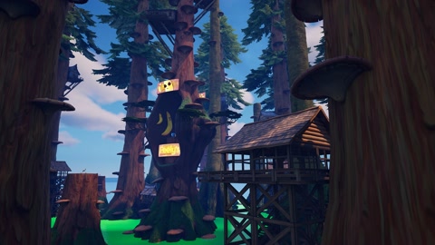 Island image