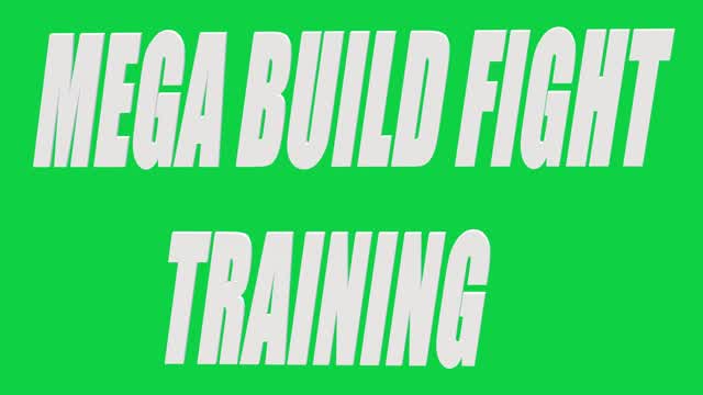 MEGA BUILD FIGHT TRAINING