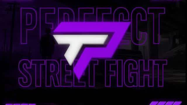 PERFECT STREET FIGHT 🗡