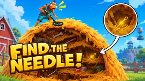 Find the Needle!