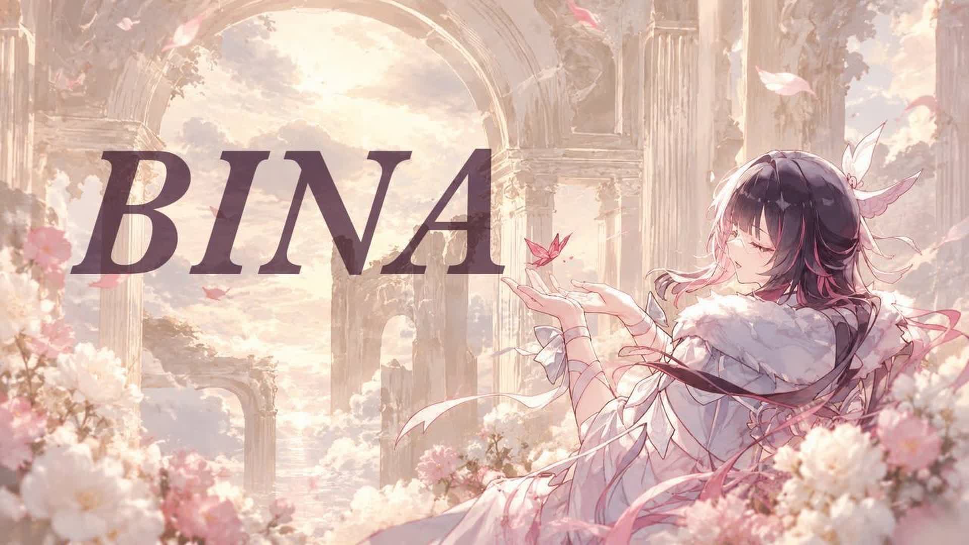 BINA 2.0