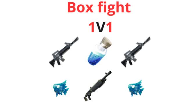 Box fight 1V1