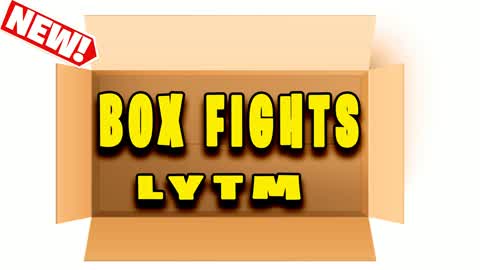 Box Fights LYTM