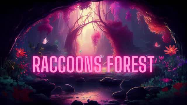 Capture 1 – Raccoons forest
