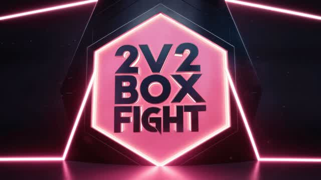 2v2 Box Fight