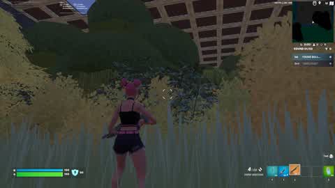 ZERO BUILD BUSHFIGHT PVP