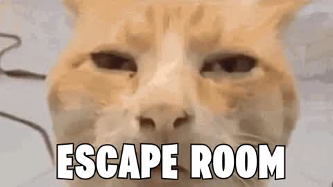 🔥90 ESCAPE ROOM🔥