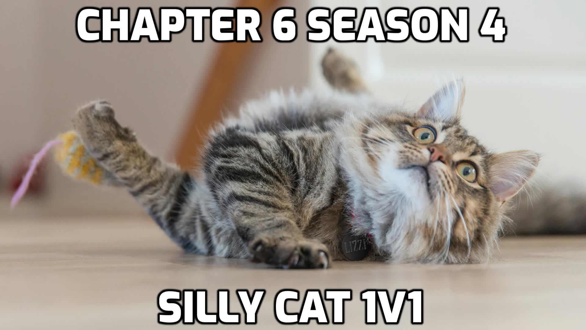 Silly Cat 1v1s