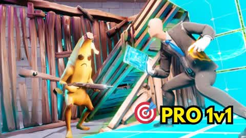 PRO 1V1 BOXFIGHTS