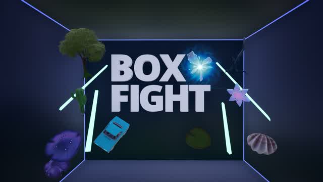BOX FIGHT PVP BIOME