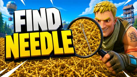Find The Needle
