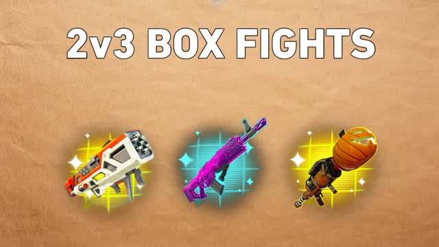 2v3 BOX FIGHTS