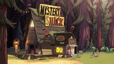 Gravity falls