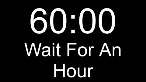 🕒Hour Long Timer🕒