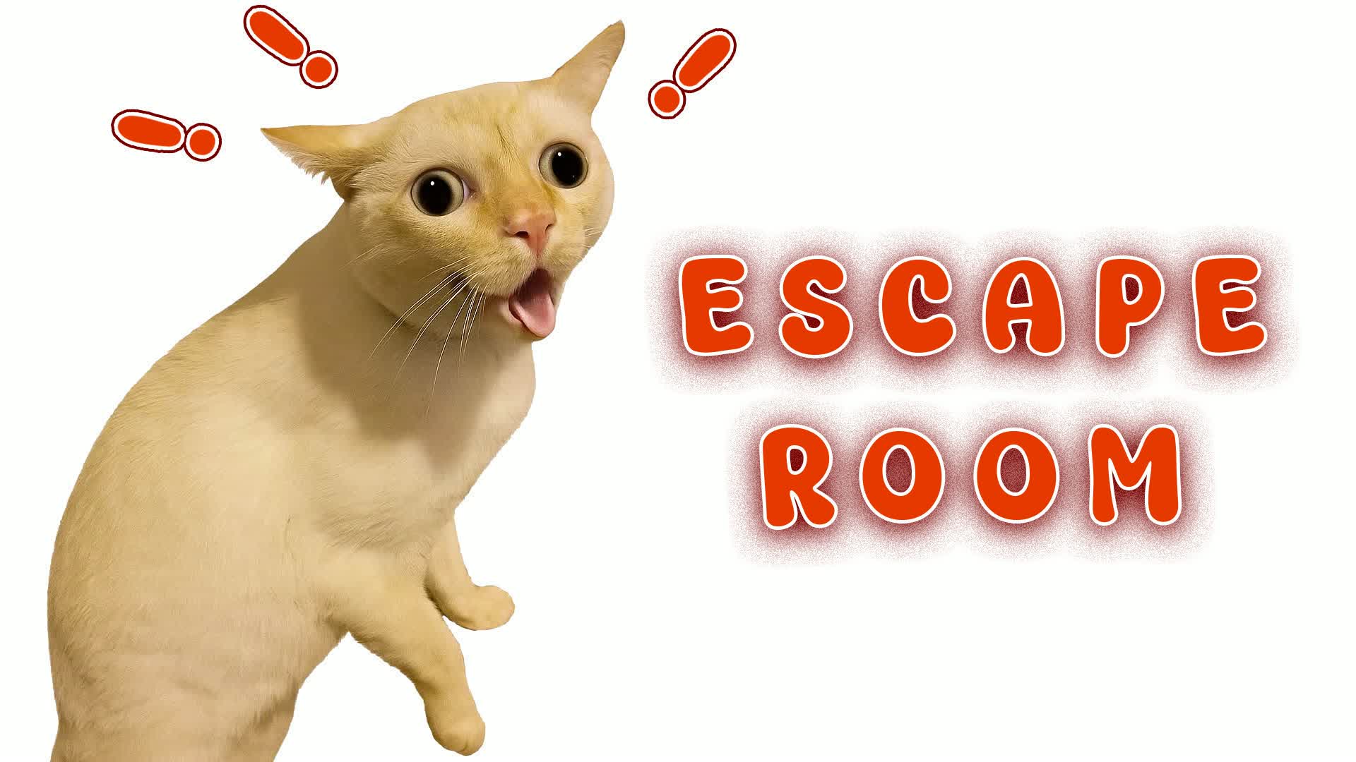 👑 Cat IQ Escape Room 👑 — Fortnite Creative Insel
