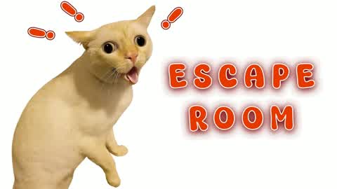👑 Cat IQ Escape Room 👑