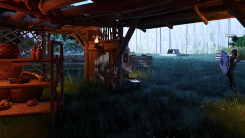 Island image