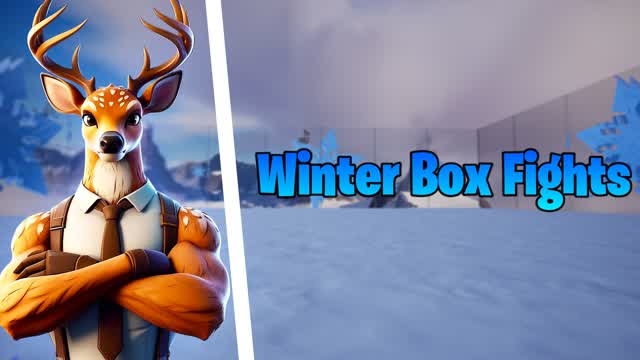 âïžđ Winter Box Fights đŠ