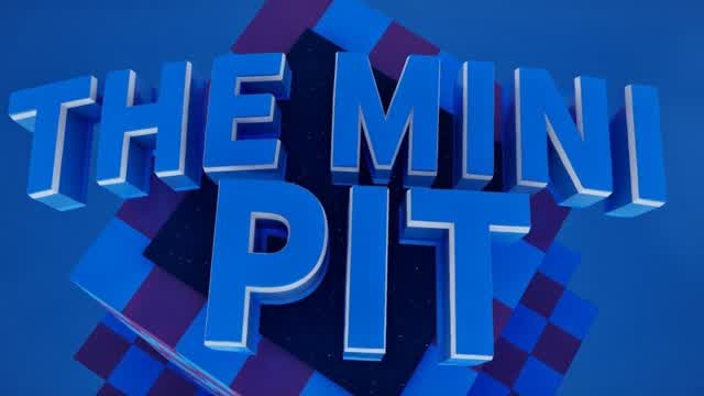 THE MINI PIT