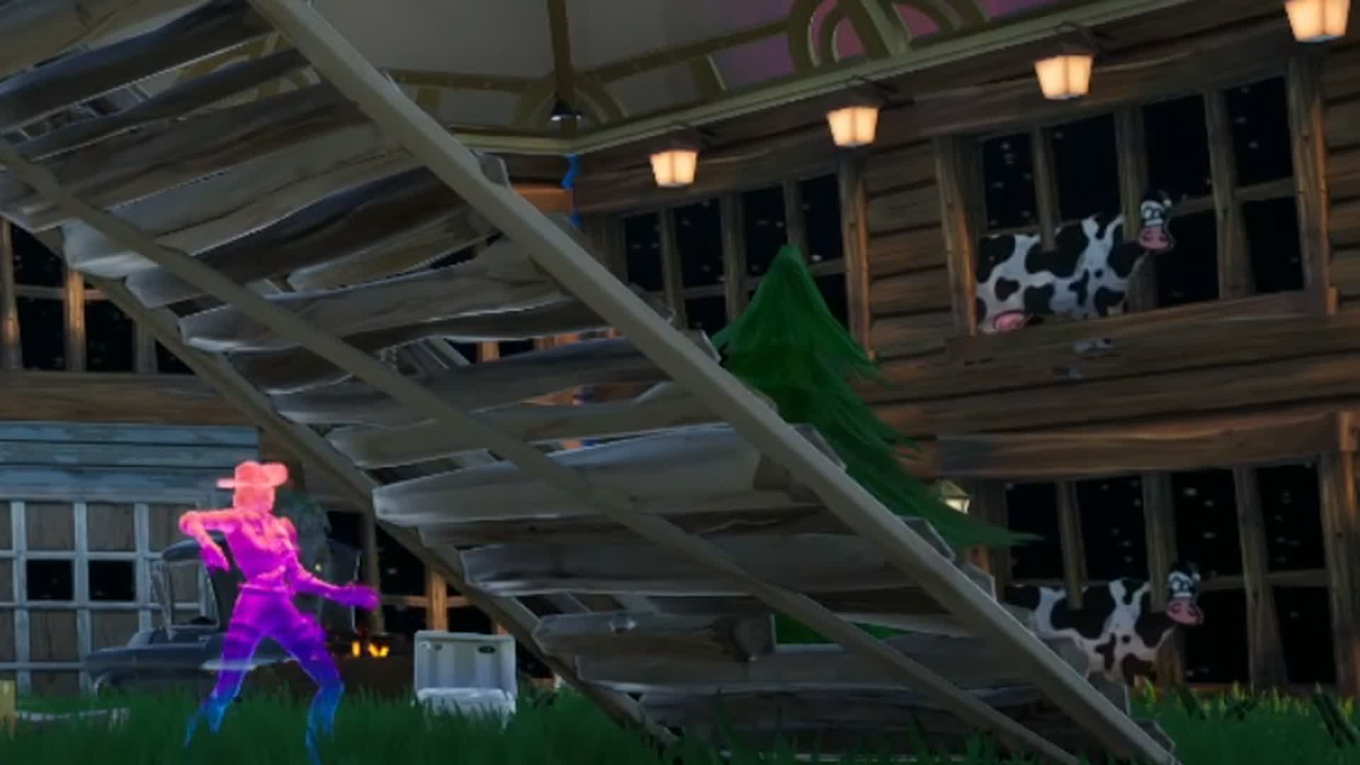 ドッグボックスファイト