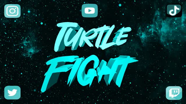 Capture 1 – Flow's Turtle Fight