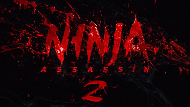 Ninja Assassin's 2
