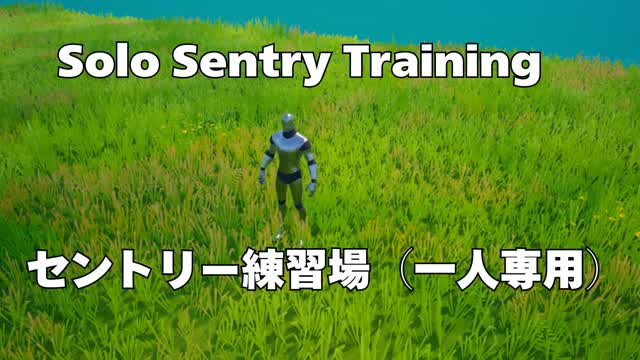 Solo Sentry Training　セントリー練習場（一人専用）