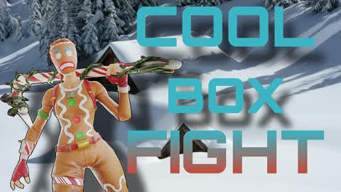Cool Box Fight
