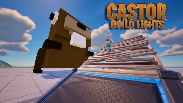 CASTOR BUILDFIGHTS!!🦫