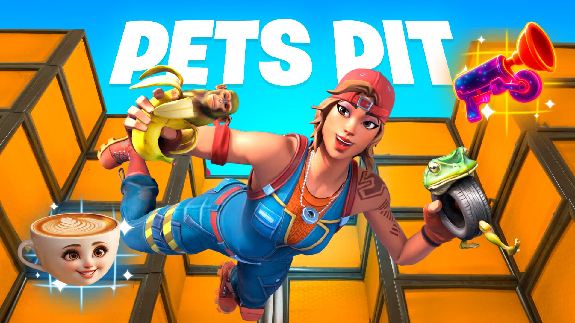 PETS PIT