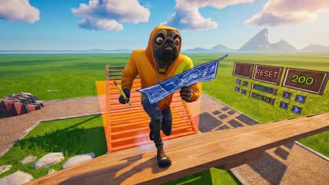 1v1 Panic Build