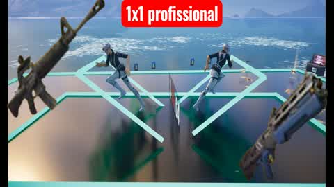 1x1 professional