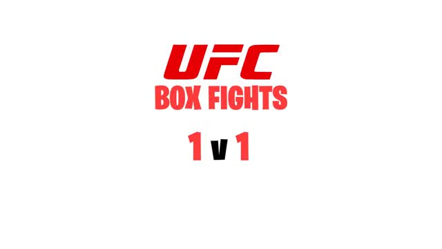 UFC BOX FIGTH 📦