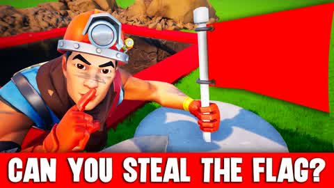 STEAL THE FLAG