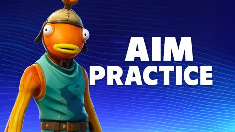 AIM PRACTICE