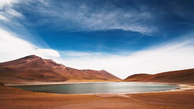 ALAMILLO ESTELAR