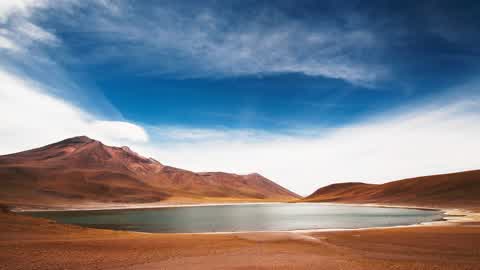 ALAMILLO ESTELAR