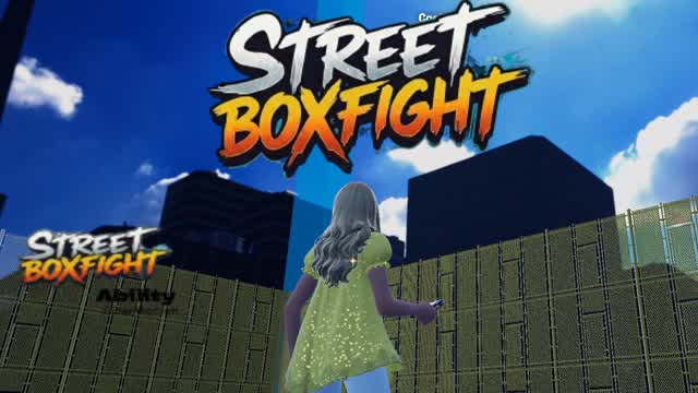 StreetBoxFights