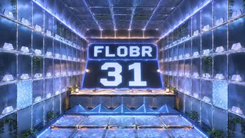 code.flobr